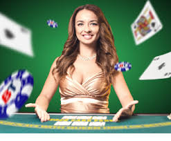 7p77 নিরাপদ লগইন ও অ্যাকাউন্ট প্রবেশের উপস্থাপনামূলক ছবি